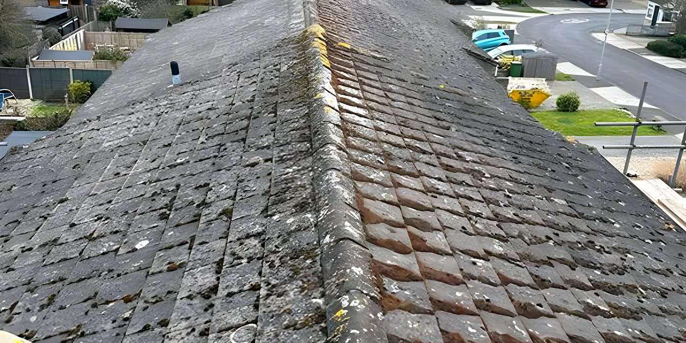Moss and lichen across a concrete tiled roof, before cleaning