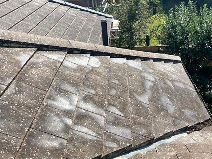 A roof before cleaning, Urban Roofing Specialists, photo 1