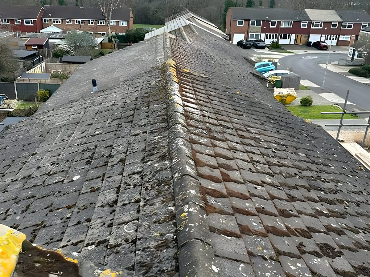 Roof Cleaning